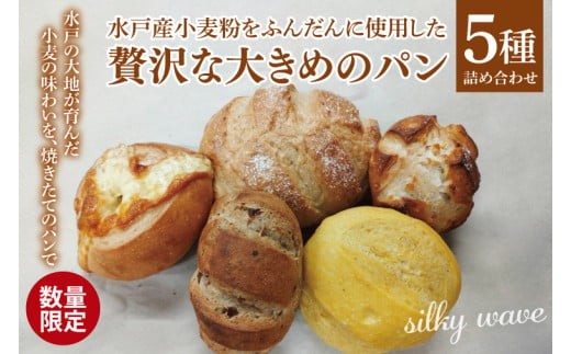 
                  【数量限定】水戸産小麦粉をふんだんに使用した贅沢な大きめのパン５種詰め合わせ【総菜パン 菓子パン 食事パン冷凍 水戸市 茨城県】（ LS-1）
                