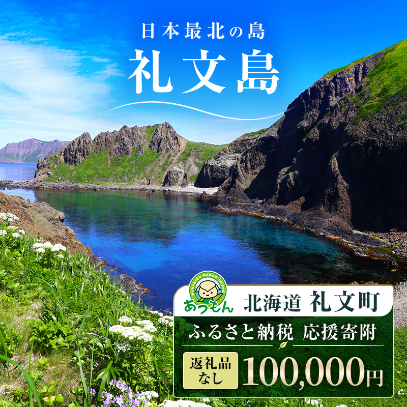 【返礼品なし】北海道 礼文町 ふるさと応援寄附金 100,000円コース ［北海道礼文町］【 寄附のみ 応援 支援 礼文島 地域貢献 自然保護 地方創生 まちづくり ふるさと納税 】