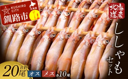 【期間限定！寄附額改定↓！】北海道産 ししゃも オスメス 食べ比べ セット 北海道 釧路市 F4F-3597
