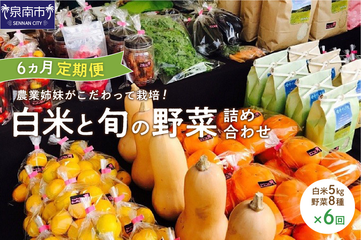 
農業姉妹がこだわって栽培！白米5kgと旬の野菜詰め合わせ8種 半年定期便【024A-018】
