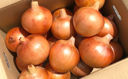 淡路島産玉ねぎ 5kg 野菜 淡路島産 玉ねぎ 玉葱 甘い 兵庫県 洲本市 淡路島