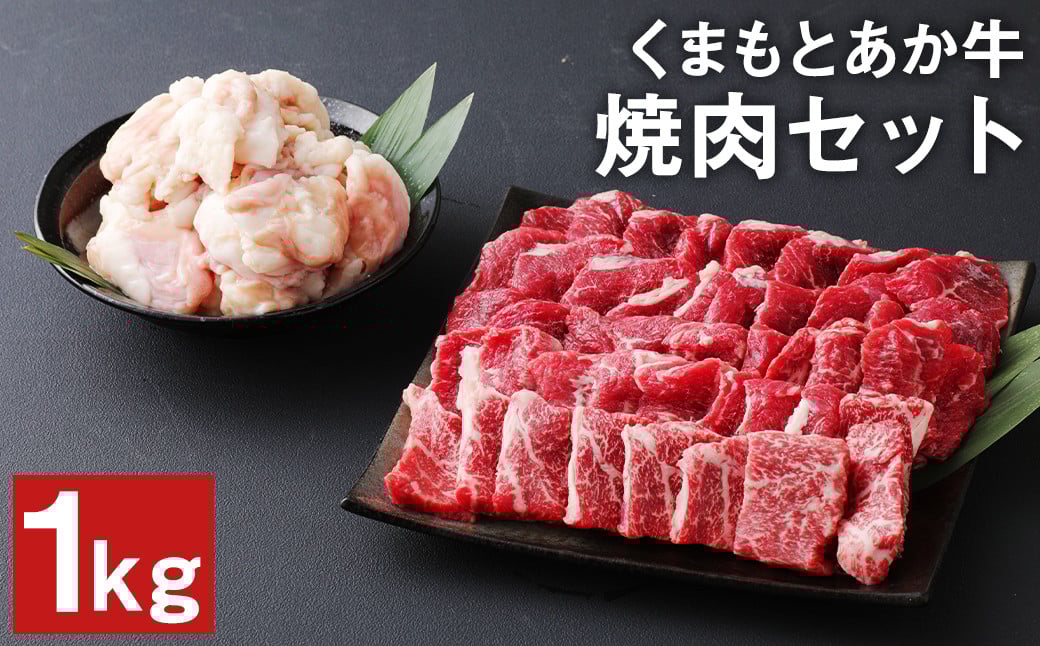 くまもと あか牛 焼肉 セット 計1kg（もも700g・ホルモン300g）和牛 牛肉