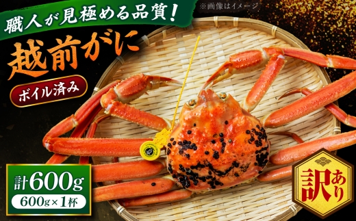 【先行予約/11月18日より順次配送】【訳あり】越前がに 600g×1杯 茹で 福井県産ズワイガニ 脚折れ・欠け / かに カニ 蟹 越前ガニ ズワイガニ ボイル / 小浜市 / 一進わかさ【配送不可地域：北海道・沖縄・離島】 [BFES017]