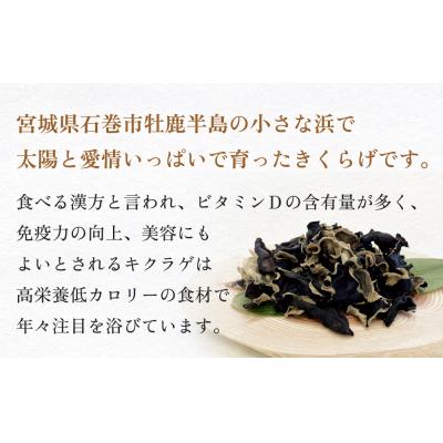 ふるさと納税 石巻市 漁師がつくる金華きくらげ(乾燥)お楽しみセット(小) |  | 01