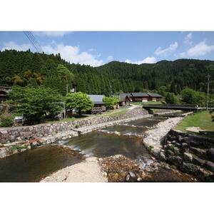 渓流釣り体験【大人1名入場券】【1672835】