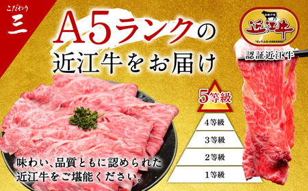 近江牛 すき焼き用500g 切り落とし300g セット（計800ｇ） 3～6人前 有限会社 常松商店 滋賀県 東近江市 C-B07 ブランド牛 和牛 厳選 肉 霜降り 赤身 国産 高級 すきやき 焼肉
