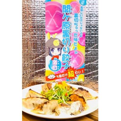 ふるさと納税 関ケ原町 【関ケ原産ふわりもち使用】関ケ原裏切り餃子(激甘)【白餃子50個のうち、激甘3個入り】 |  | 01