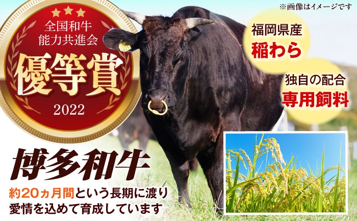 焼肉 和牛 国産 しゃとーぶりあん ヒレ ひれ すてーき 和牛 国産 焼肉 ステーキ シャトーブリアン