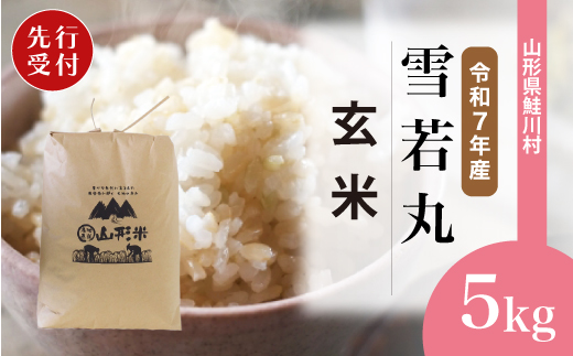 ＜令和7年産米先行受付＞ 令和8年3月上旬発送　雪若丸 【玄米】 5kg （5kg×1袋） 鮭川村