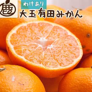 ＜11月より発送＞家庭用 大きな有田みかん8kg+240g（傷み補償分）【わけあり・訳あり】【光センサー選果】