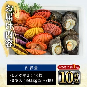 ヒオウギ貝(10枚)とサザエ(約1kg) 魚介 貝 ヒオウギ貝 ひおうぎ貝 サザエ さざえ 栄螺 酒蒸し 網焼き バター焼き バーベキュー 獲れたて 冷蔵 海の直売所 大分県 佐伯市【AS120】【海