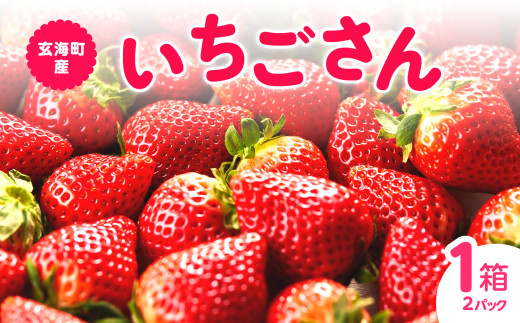 ★予約受付★平川いちご農園 佐賀県玄海町産「いちごさん」2026年1月～4月までに順次配送