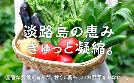 【6回定期便】 淡路島の加工品付き旬の野菜セット10種 / 野菜セット 野菜盛り合わせ 野菜ミックス 野菜ギフト 野菜 旬のお野菜 旬のくだもの 新鮮野菜 お楽しみ レシピ付き 定期便