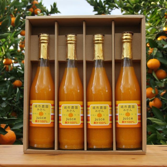【ふるさと納税】100％ みかんジュース 500ml 合計4本 セット ストレート 無添加 嶋市農園 ｜ 和歌山有田 丸絞り 和歌山 有田 国産 果汁