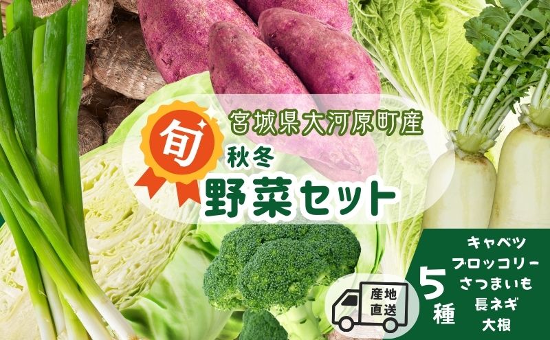 季節の野菜 野菜セットC 5種 キャベツ ブロッコリー さつまいも 長ねぎ 大根 詰合せ 季節 旬 野菜 詰め合せ 国産 産地直送 秋野菜 冬野菜 葉物 冷蔵 野菜室
