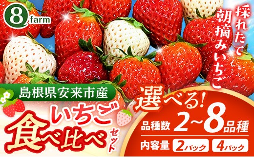 【先行予約】選べる イチゴ食べ比べセット 2パック / 4パック【 1パック 約290g 食べ比べ 品種 おまかせ 朝摘み いちご 産地直送 イチゴ 苺 ストロベリー 冷蔵 安来市産】