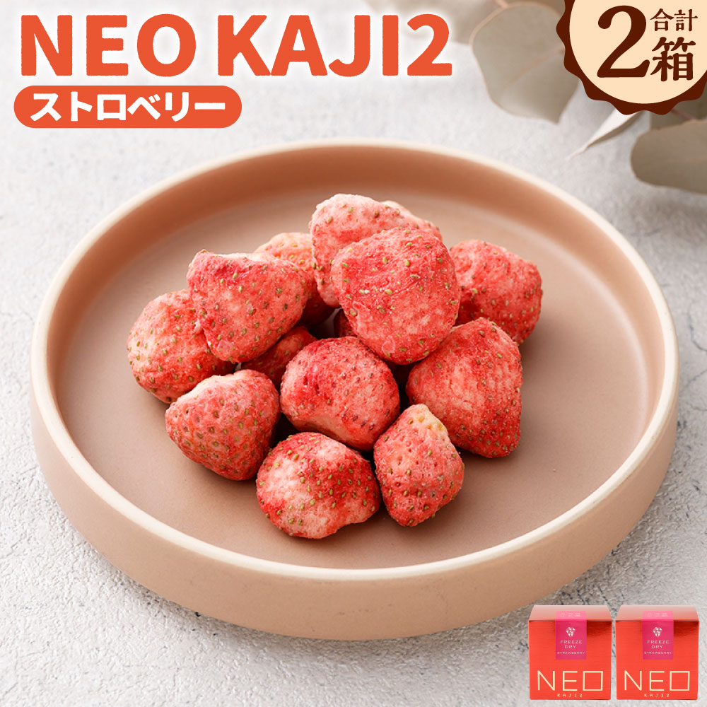 【ふるさと納税】NEO KAJI2【 ストロベリー】ドライフルーツ×ホワイトチョコ 2箱 浸みチョコいちご フリーズドライスイーツ ホワイトチョコレート チョコレート いちご イチゴ 苺 フルーツ くだもの 果物 スイーツ お菓子 デザート おやつ 送料無料 【14営業日以内に発送】