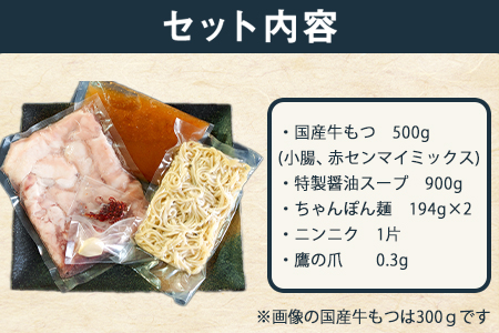 特撰博多もつ鍋 【まろやかあごだし醤油仕立て】 4～5人前 500g 独楽《30日以内に出荷予定(土日祝除く)》