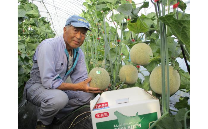 【7月下旬以降順次発送】 北海道十勝 あしょろ銀河メロン ルピアレッド 1.5kg×2玉（赤肉）《足寄町》【郊南ハウス組合】メロン 果物 フルーツ 果肉 赤肉系 旬 1.5kg ギフト おすすめ 足寄