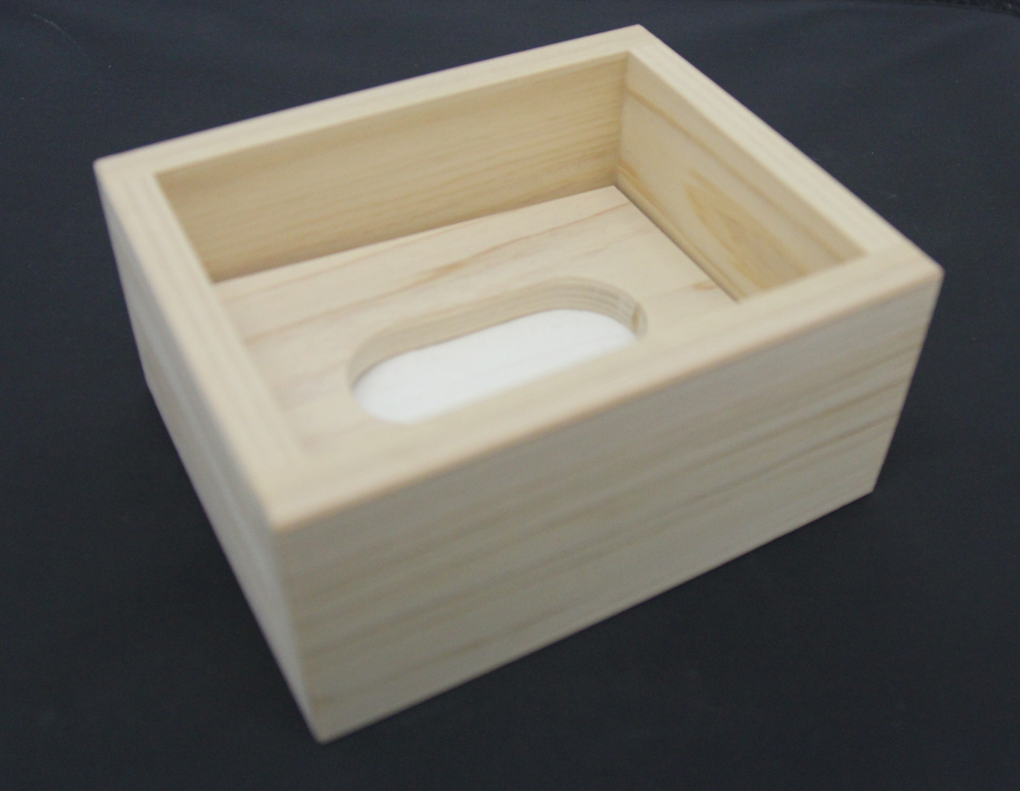 
            吉野杉 ティッシュケース （ 小 ）｜ 木製品 木工品 小物 インテリア 収納  ケース ティッシュケース ティッシュ ポケットティッシュ ちり紙 スギ 釘不使用 無垢材 便利 シンプル 木 けやき工房なかもと 奈良県 上北山村
          