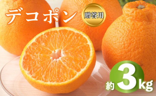2026年 先行予約 デコポン 約3kg 不知火 しらぬい みかん 柑橘 蜜柑 オレンジ 果物 フルーツ 果実 旬 贈答用 化粧箱 1月下旬～3月中旬 配送 香川県 丸亀市