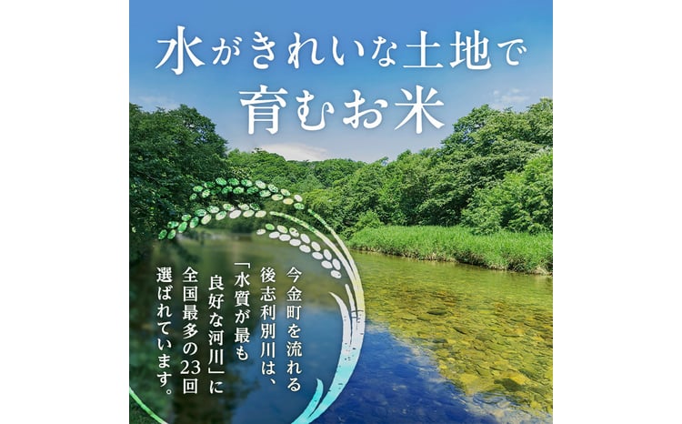 令和7年産 ななつぼし 10kg(5kg×2袋) 北海道 今金町産 米 白米 米俵  F21W-589