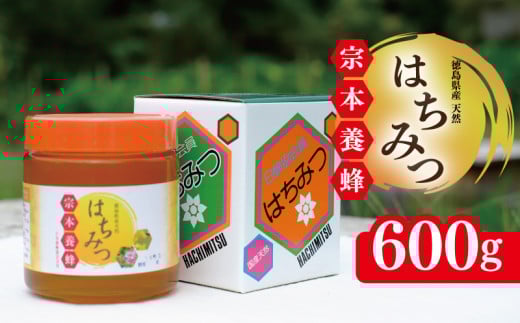 はちみつ 国産 600g 天然 蜂蜜 純粋 蜂蜜ギフト 健康食品 美容 食品 無添加 栄養豊富 生はちみつ ハチミツ ギフト 贈答 人気 はちみつ お取り寄せ グルメ ヨーグルト パン スイーツ 徳島県 吉野川市