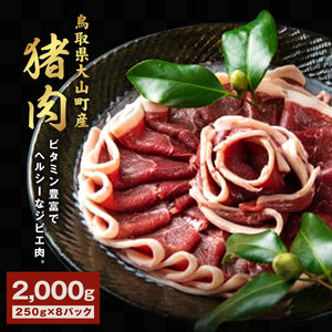 GB-04　猪肉　2kg（250g×8パック）