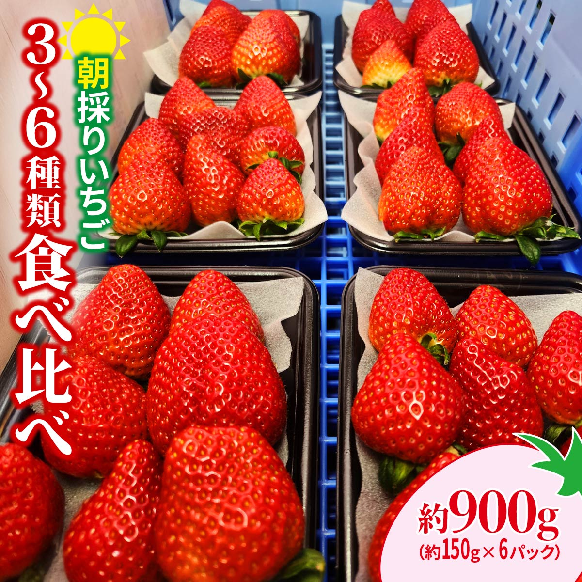 【ふるさと納税】＜2026年 先行予約＞いちご 食べ比べ 150g×6パック 900g｜コク 甘み 朝採れ やよいひめ ななか 恋みのり あまおとめ あすかルビー 贈答用 新鮮 完熟 いちご 旬 苺 産地直送 果汁 甘い 人気 高評価 美容 健康 旨味 高糖度 ごほうび 群馬県 前橋市