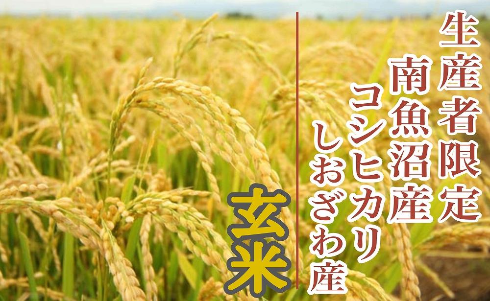 【新米予約・令和6年産】定期便３ヶ月：玄米２Kg 生産者限定 南魚沼しおざわ産コシヒカリ