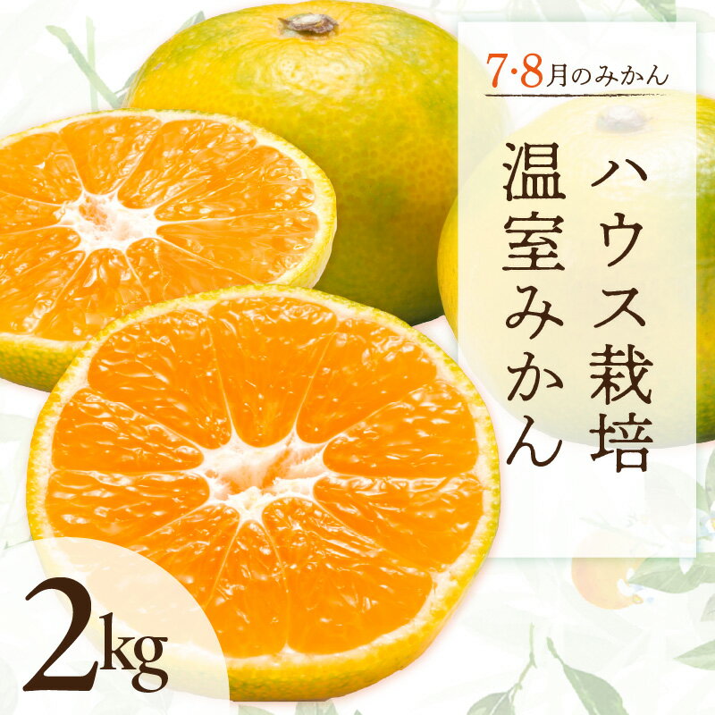 【ふるさと納税】7・8月の御浜柑橘 温室みかん 2kg【御浜町でとれた温室みかんをお届け！】