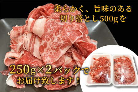 大人気商品セット★信州高原和牛 切り落とし500g＆カタロース焼肉用500g 13000円 