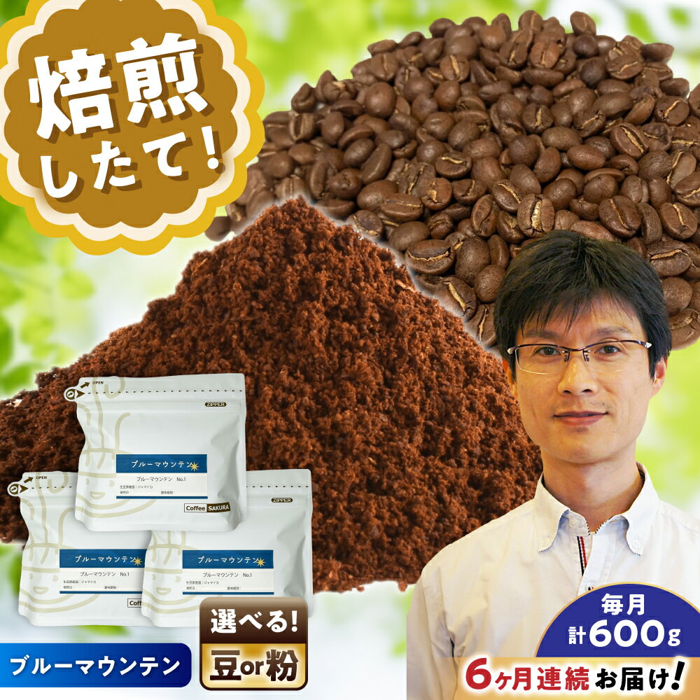 【ふるさと納税】【全6回定期便】[選べる豆 or 粉] ブルーマウンテンNo.1　200g×3個 / 珈琲 コーヒー / 瀬戸市 / Coffee　SAKURA[BBAB092]