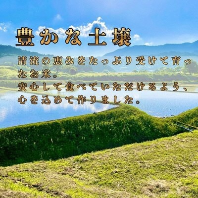 【コシヒカリ】京都府綾部産 白米「穂のまま。」精米5kg【1771120】