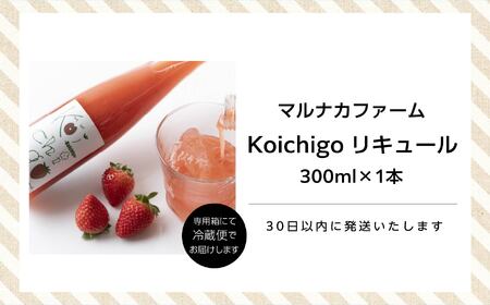 リキュール Koichigoリキュール 300ml×1本【まるなかファーム株式会社】
