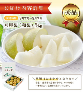 SB0912　酒田の美味しい刈屋梨(和梨) 秀品　約5kg(12～18玉入)　品種おまかせ 