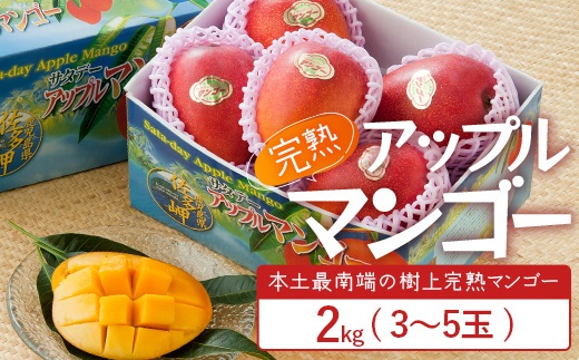 ≪先行予約・数量限定≫ ☆本土最南端☆佐多の果樹園で育てた 完熟アップルマンゴー 2kg (3～5玉) 【2026年7月上旬以降順次発送】｜鹿児島県 南大隅 産地直送 旬 マンゴー フルーツ 果物 くだもの ST-408