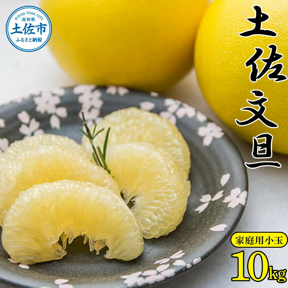 【ふるさと納税】高知県産 土佐文旦小玉サイズ約10kg ぶんたん ブンタン 果物 柑橘 フルーツ お取り寄せ おいしい 美味しい 高知 ＜先行予約 2026年2月上より順次発送＞ 高知県 土佐市 こうち 返礼品