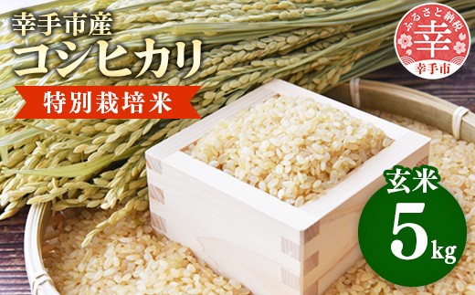 【令和8年産】有機肥料 100％ 埼玉県幸手市産特別栽培コシヒカリ 玄米 5kg - 新米 コシヒカリ こしひかり 米 玄米 5kg 有機肥料 特別栽培幸手市産 埼玉県 幸手市【価格改定】