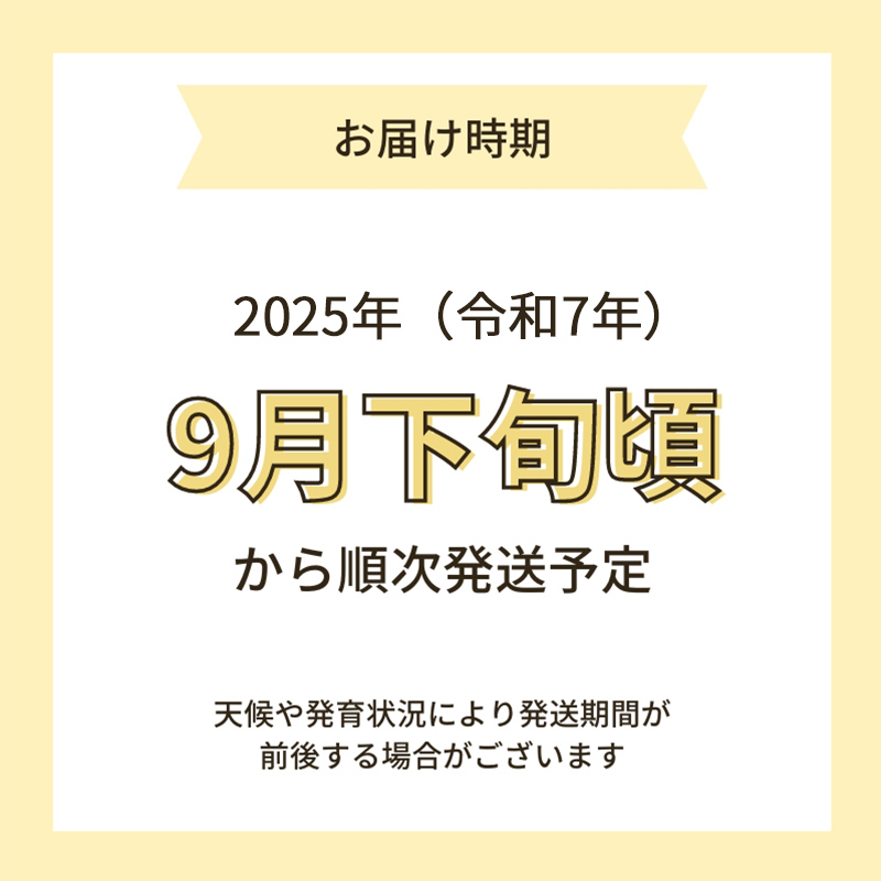 新米予約【無洗米】特別栽培米あきたこまち5kg×1 令和7年産 秋田県 にかほ市 お米 米 こめ