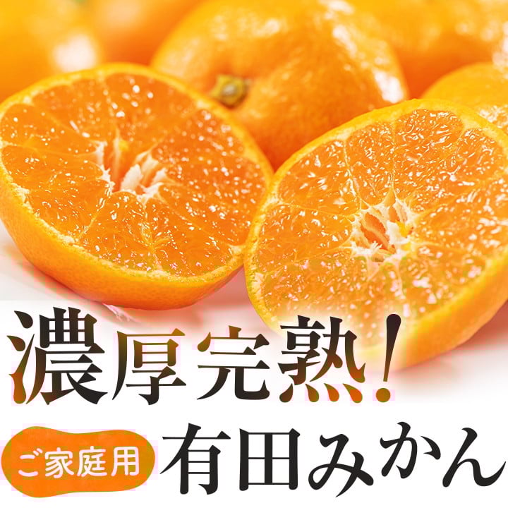 
            【先行予約】＼選べる配送月／有田育ちの完熟有田みかん 家庭用 3.9kg+200g【10月発送 11月発送 12月発送】※北海道・沖縄・その他離島地域は発送不可 / 有田みかん ミカン 柑橘 甘い くだもの フルーツ 果物 産地直送 和歌山【ard186C-cho】
          
