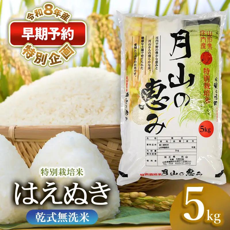 特別栽培米 はえぬき 無洗米 5kg 【令和8年産新米早期予約特別企画】