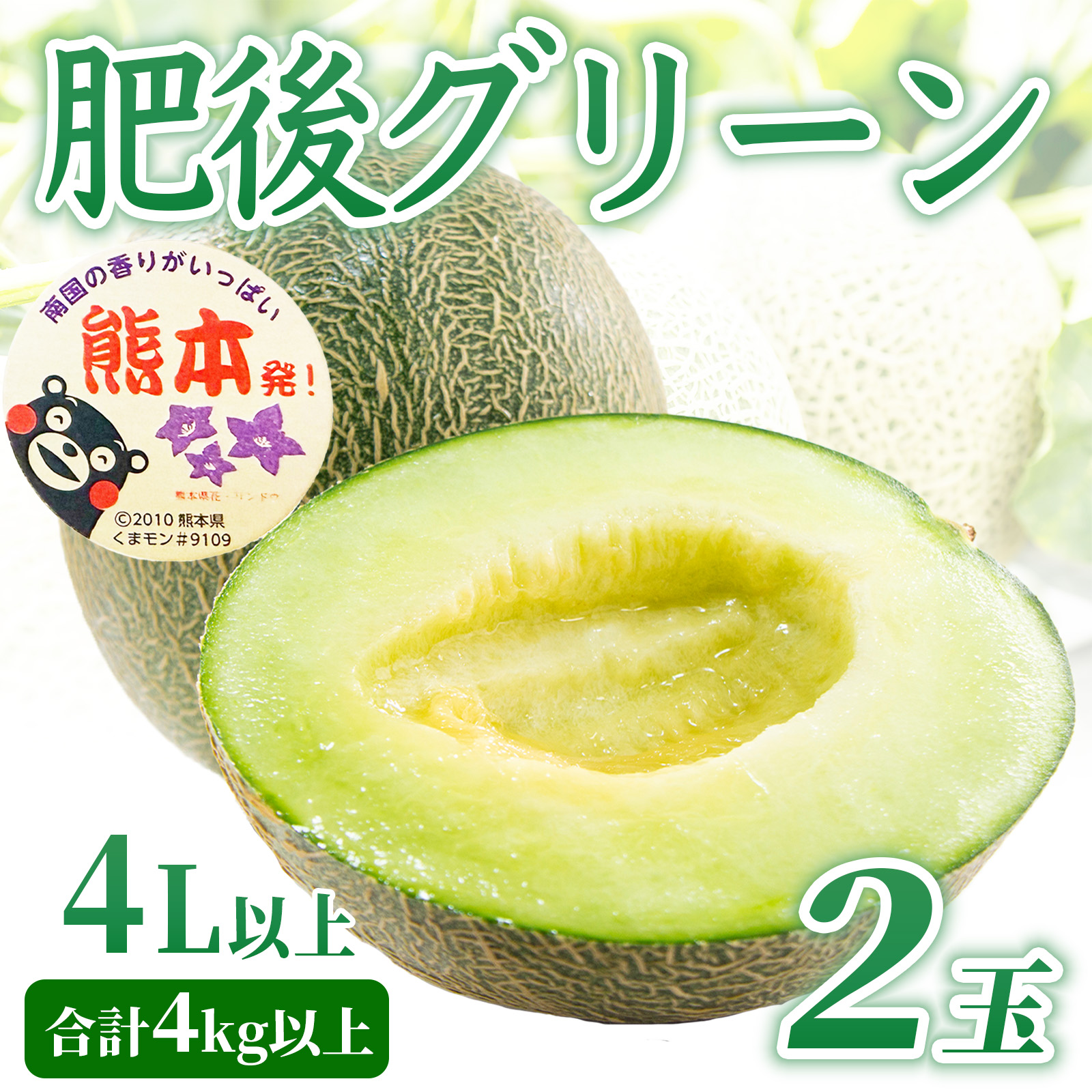 肥後グリーンメロン 約4kg（2玉 4L以上）【2026年5月上旬〜2026年7月下旬配送予定】 果物 フルーツ くだもの メロン めろん 青肉メロン 国産 熊本 熊本県 九州 産地直送 極上 美しい 網目模様 爽やか 香り 宝石 艶やか 日本フルーツ