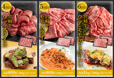 定期便 6ヶ月 お楽しみ 宮崎牛 スペシャル6種セット 計4.6kg |牛肉 牛 肉 肩ロース スライス ステーキ 切落し ウデ モモ