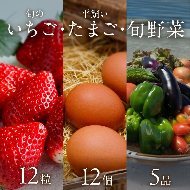 【ふるさと納税】【2026年12月下旬～2027年5月発送予定】泉南市産　旬のいちご・平飼いたまご・旬野菜5品セット【配送不可地域：北海道・沖縄・離島】