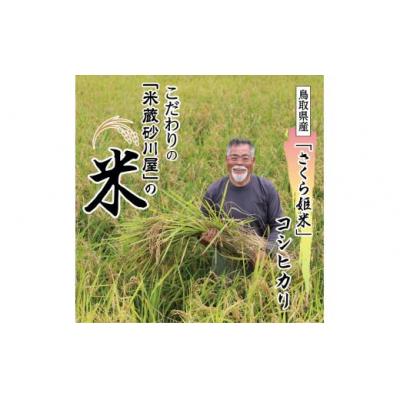 ふるさと納税 鳥取市 【2026年9月下旬〜発送予定】鹿野のさくら姫米 3kg