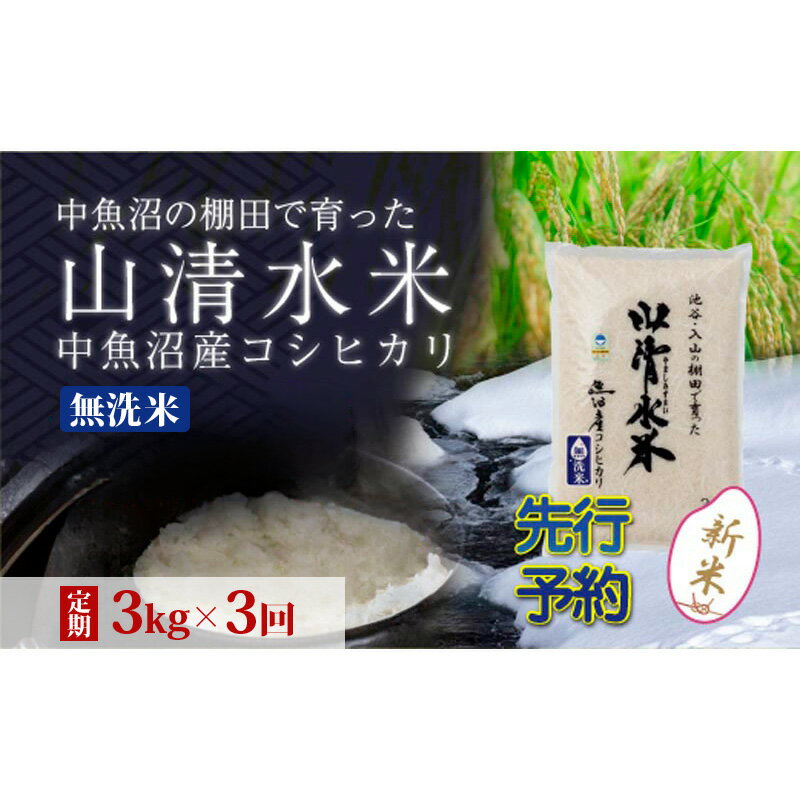 【ふるさと納税】【令和8年産 先行予約】【定期便／全3回】無洗米3kg 新潟県魚沼産コシヒカリ「山清水米」　お届け：2026年10月10日から、順次発送します。