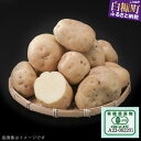 【ふるさと納税】【令和6年産】有機JASじゃがいも（男爵薯）【5kg】 ふるさと納税 北海道