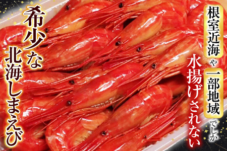 根室海鮮市場[直送]北海しまえび500g×2P B-28119