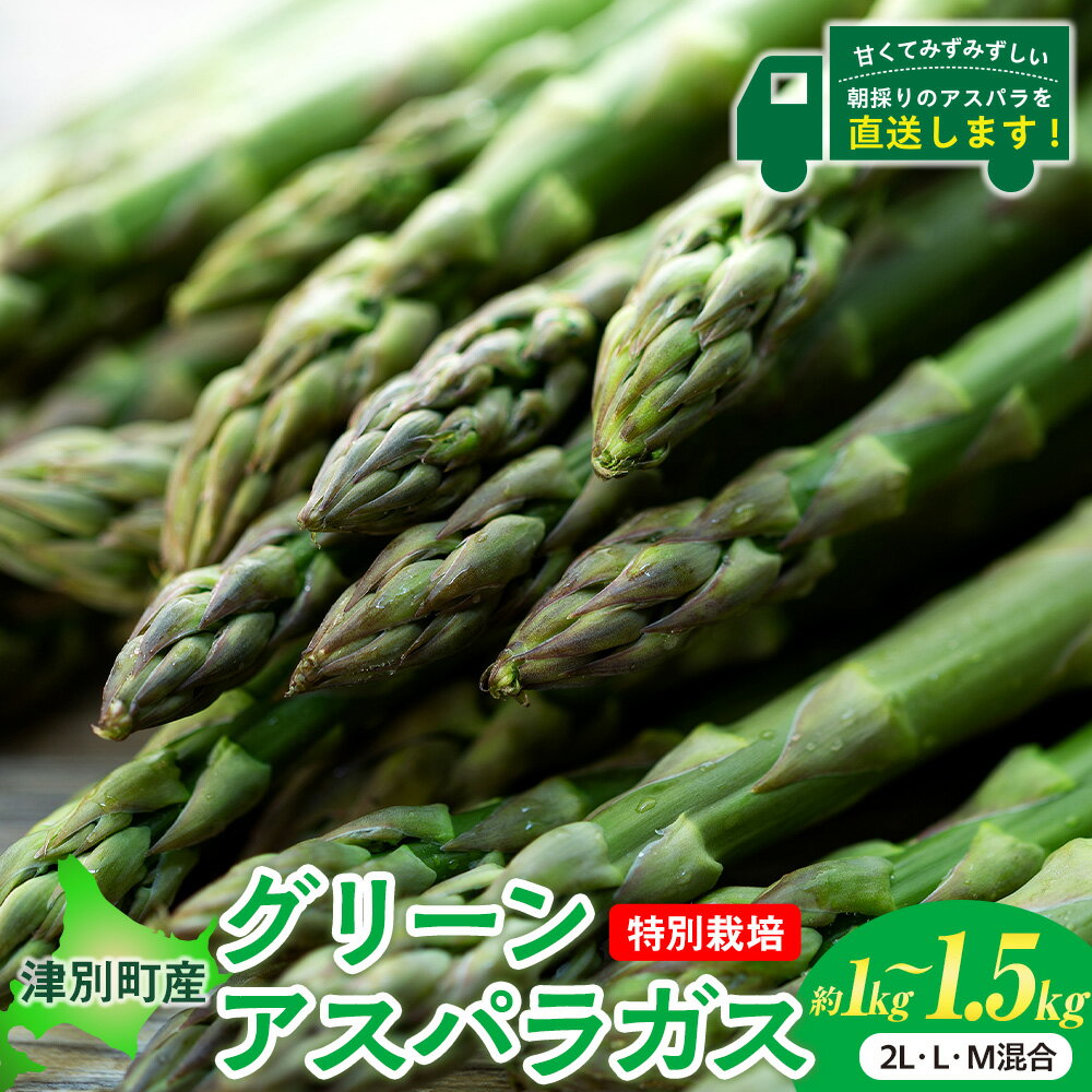 【ふるさと納税】令和8年産 アスパラガス 約1kg〜1.5kg 特別栽培 細川農園 | グリーンアスパラ グリーンアスパラガス アスパラ 野菜 春野菜 朝採れ 新鮮 極太 サラダ 天ぷら 炒め物 旬 特産 産地直送 北海道 津別町 送料無料